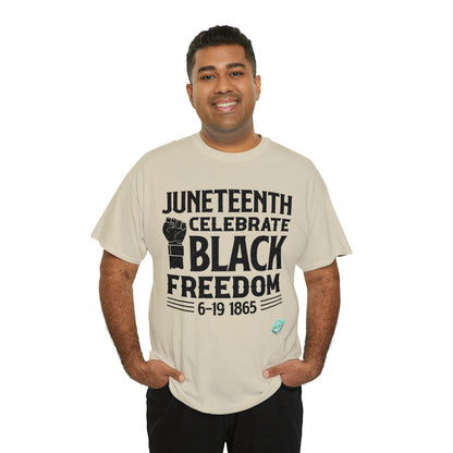 DCAL Juneteenth "Celebrate Freedom" Unisex Heavy Cotton Tee