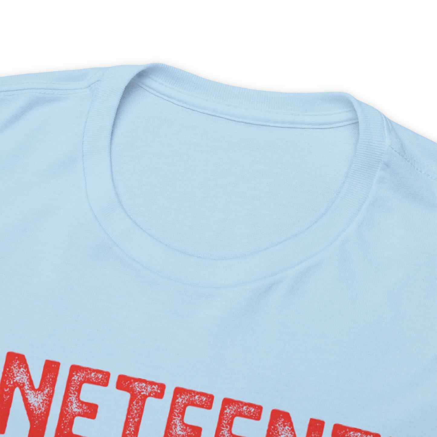 DCAL Juneteenth "1865" Unisex Heavy Cotton Tee