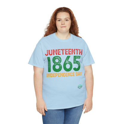 DCAL Juneteenth "1865" Unisex Heavy Cotton Tee