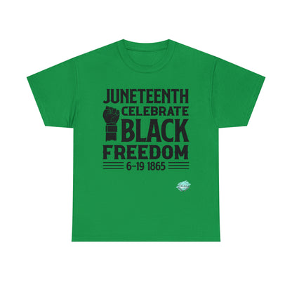 DCAL Juneteenth "Celebrate Freedom" Unisex Heavy Cotton Tee