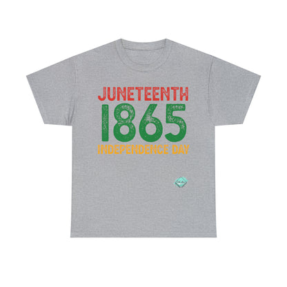 DCAL Juneteenth "1865" Unisex Heavy Cotton Tee