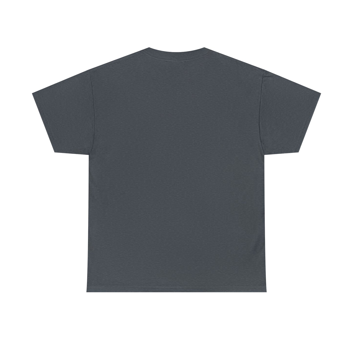 DCAL Beach Collection "Beach Dont Kill My Vibe" Unisex Heavy Cotton Tee