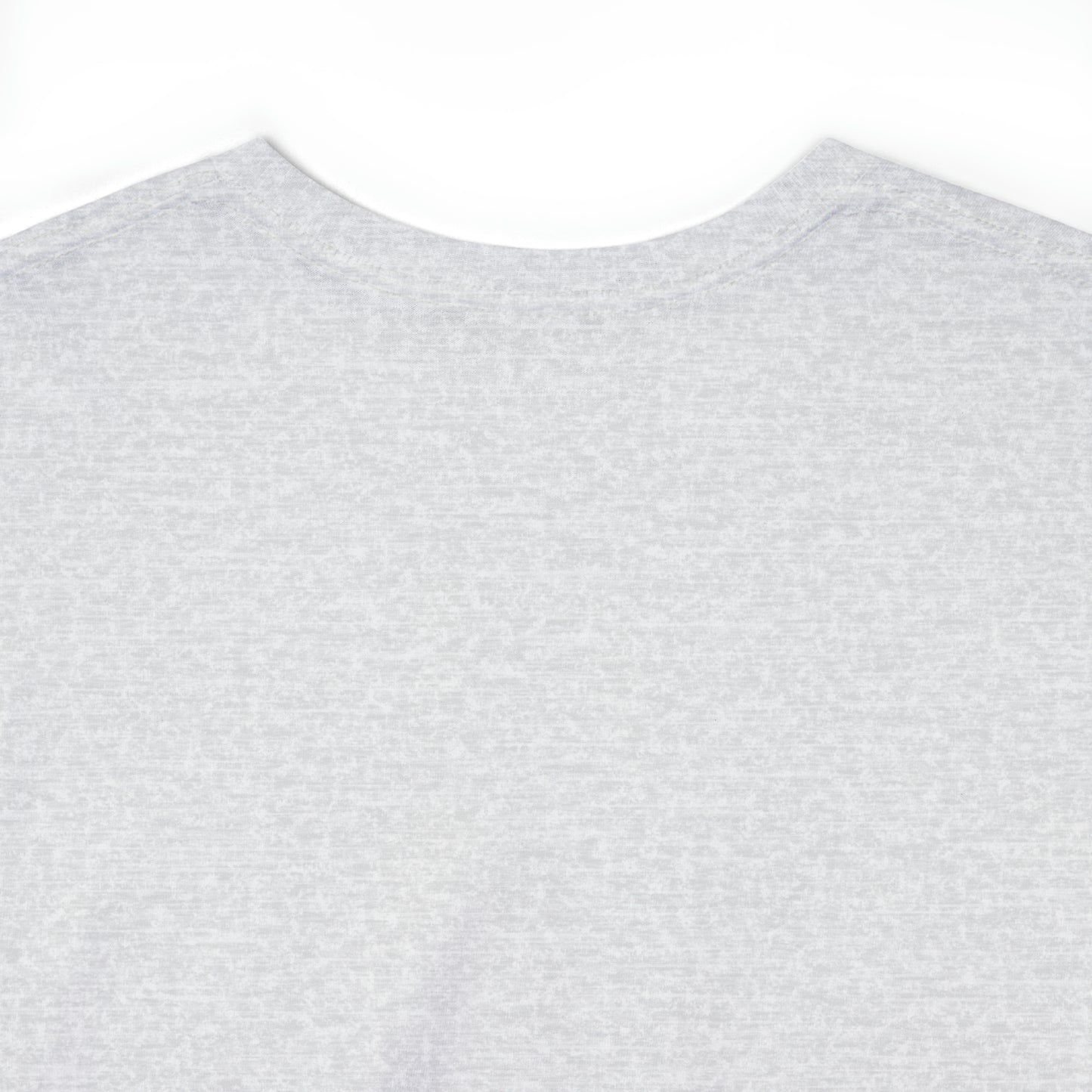 DCAL "Downtown Diaries" Unisex Heavy Cotton Tee
