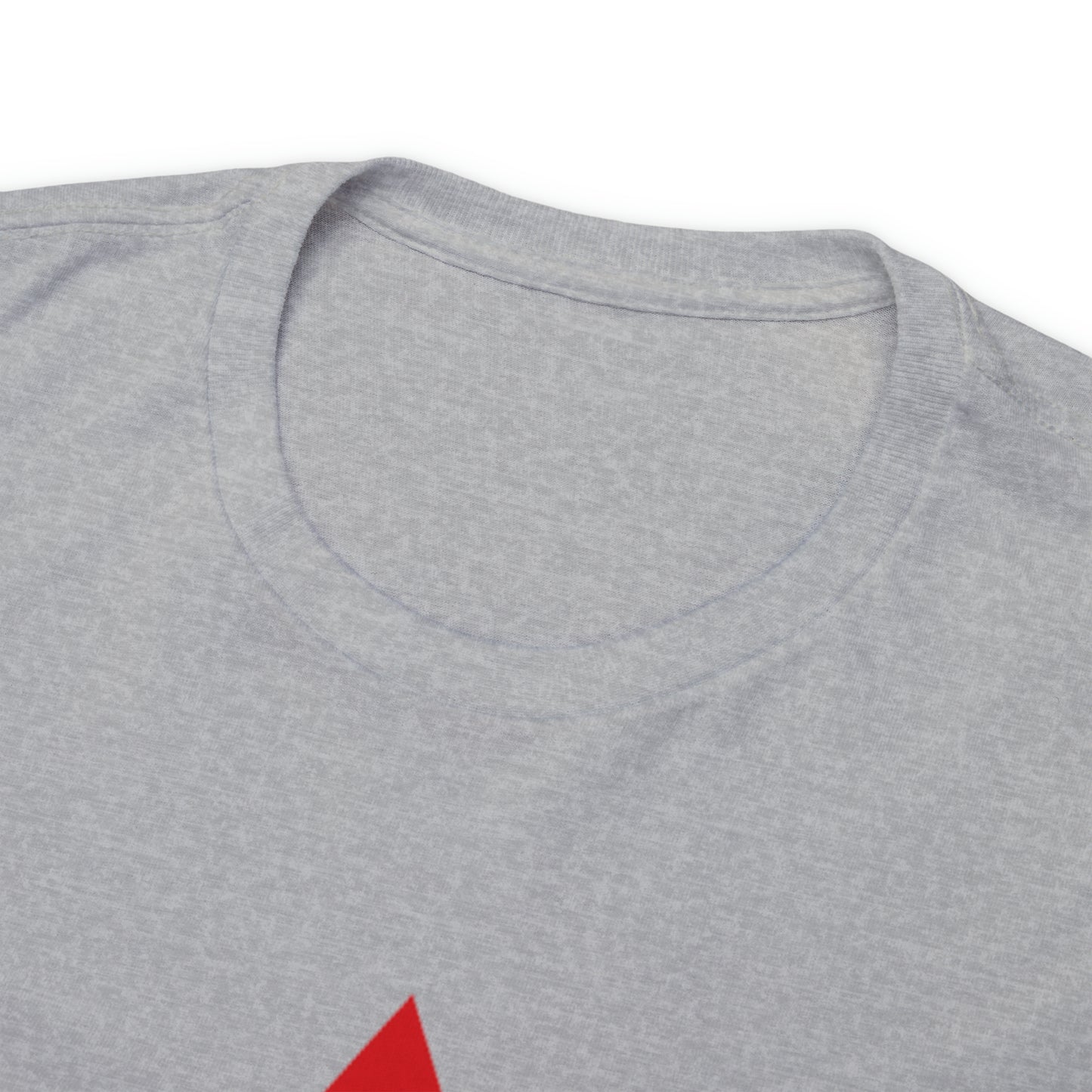 DCAL Graphic Tees "Get Shooshed" Heavy Cotton Tee