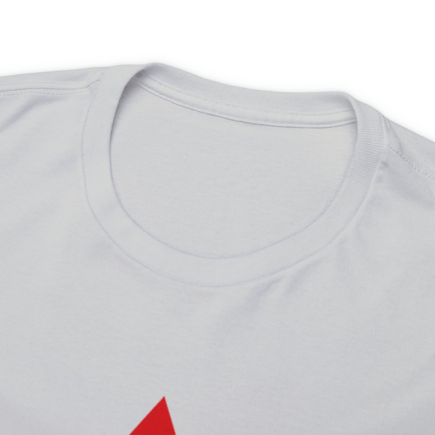 DCAL Graphic Tees "Get Shooshed" Heavy Cotton Tee