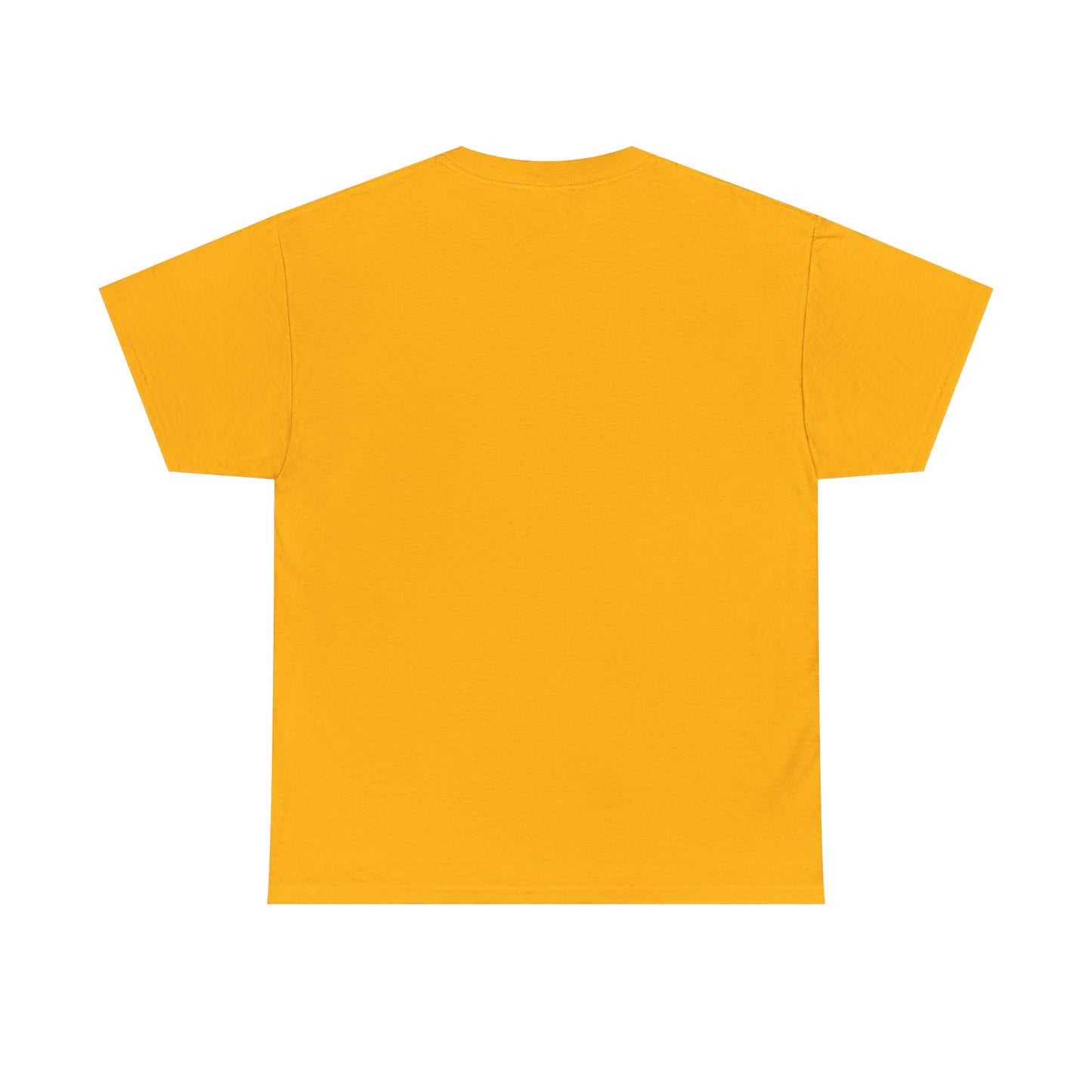 DCAL Beach collection "Beach Day" Unisex Heavy Cotton Tee