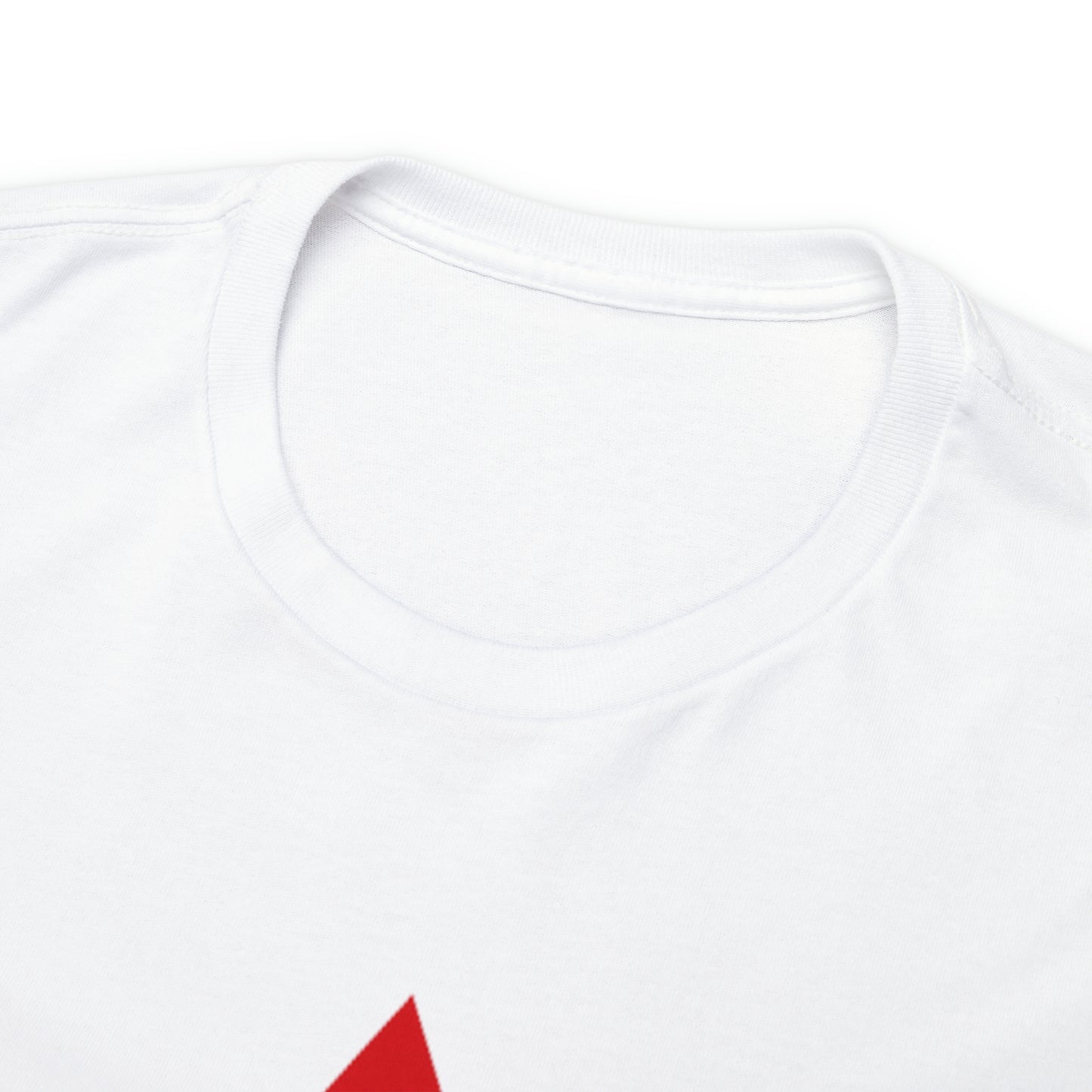 DCAL Graphic Tees "Get Shooshed" Heavy Cotton Tee